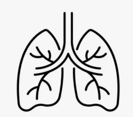 Дыхательная система в аптеке Медика